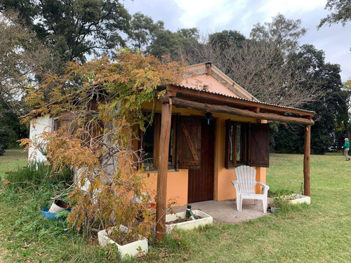 Imagen 5 de 19 de Venta - Hermosa Chacra De 8,7 Hectareas