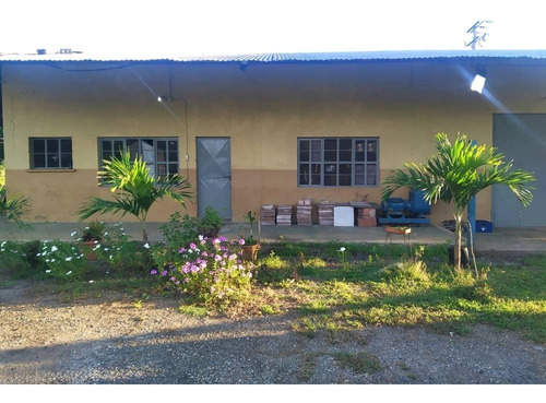 Imagen 1 de 14 de Finca En Yaracuy Municipio Bruzual Cumaripa