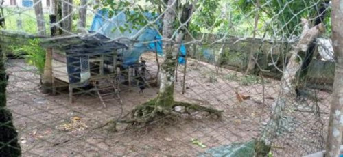 Imagem 18 de 25 de Chácara Com 50.000 M² De Área Total E Com Horta, Lago, Riacho, Pomar E Cozinha Caipira, No Bairro Gaivota, Em Itanhaém Ref: 9242/ac