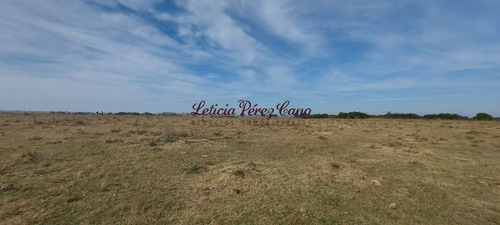 Imagen 2 de 23 de Venta De Chacra 19 Has En San Carlos, Maldonado