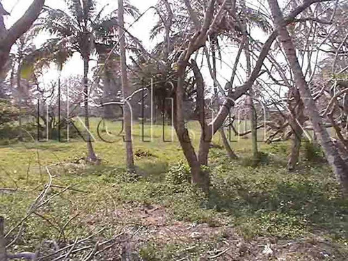 Venta Terreno Playa Hectáreas Tuxpan Veracruz