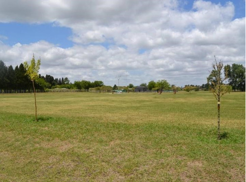 Lote En Venta En Altos De Campo Grande, Pilar