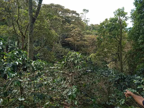 Finca En Guacamayas, Santander, Al Día En Documentos.