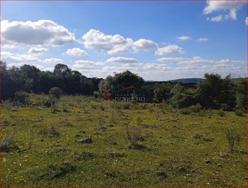Imagen 7 de 14 de Maldonado - Venta De Campo Con Costa !! Zona De Aiguá