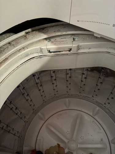 Lavarropas Automático Electrolux. Lava. No Centrifuga Blanco (Usado)