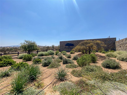 Imagen 8 de 29 de Sitio En 3 Has En Venta - Catapílco, Zapallar