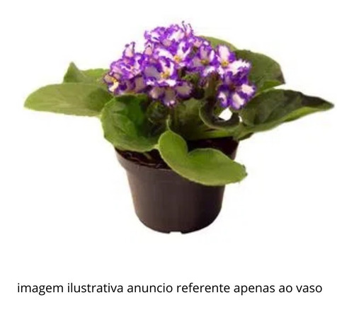 Vaso Pote 11 Para Flores Violetas Atacado 120 Unidades | Parcelamento sem juros Vaso Pote 11 Para Flores Violetas Atacado 120 Unidades | Parcelamento sem juros
