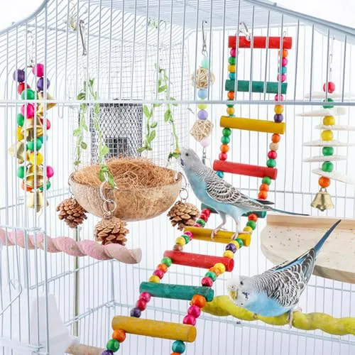 Columpio Hecho De Coco Para Aves Pequeñas