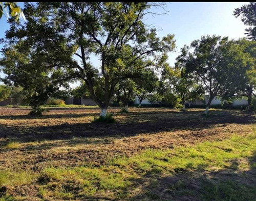 Terreno En Venta Residencial San Armando Torreón, Coahuila