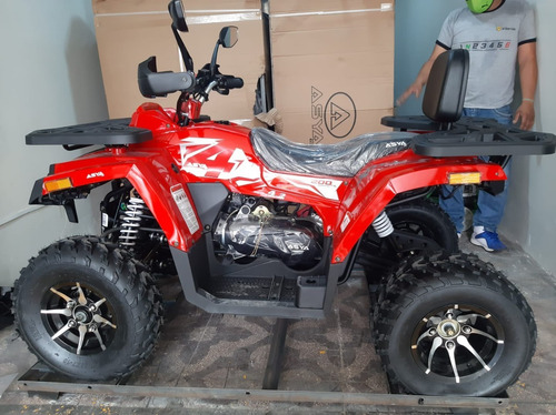 Imagen 3 de 10 de Cuatrimoto Dinamic 200cc Full C/radiador Aceite Aro Aleacion
