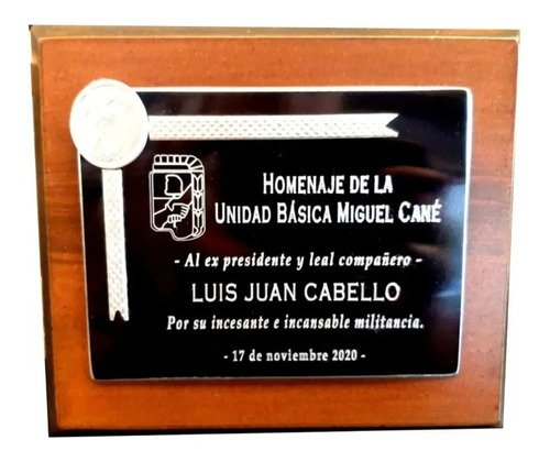 Placa Negra Premio Homenaje Egresados Aluminio 20x15 Cm