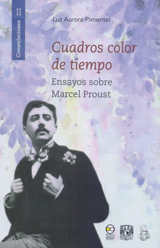 Cuadros Color De Tiempo: Ensayos Sobre Marcel Proust, De Pimentel Luz Aurora. Editorial Bonilla Artigas Editores, Tapa Blanda, Edición 1 En Español, 2019