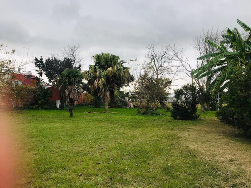 Casa Venta A Refaccionar 4 Dormitorios 3 Baños Y Terreno De 4,922 Mts 2-262 Mts 2 Cubiertos - Villa Elvira