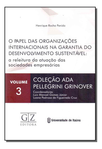 Libro Papel Org Inter Garantia Desenv Sustentavel Vol 3 De P