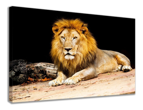 Quadro Decorativo Animal Leão Fogueira Paisagem Hd Cor Preto