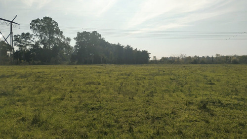 Imagen 4 de 11 de Campo Agroecológico 30 Has En Venta En El Peligro, Calle 420