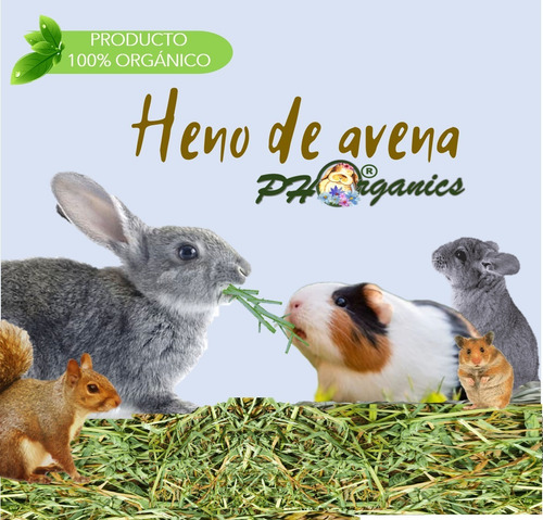 10kg De Heno De Avena 100% Orgánica