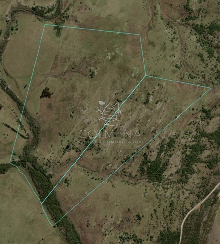 Imagen 16 de 18 de Campo 98 Has Con 2891 M2 En Carape Cuenta Con Costa De Arroyo.
