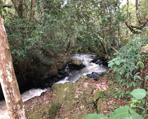 Chácara Para Venda No Bairro Do Pião Em Piracaia Sp - Ch00019 - 67632680