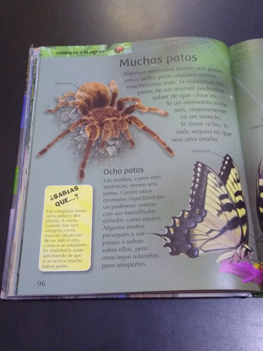 Imagen 9 de 10 de Libro Mi Primera Enciclopedia Ilustrada