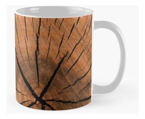 Taza X4 Grano De Madera De Corte Transversal Calidad Premium