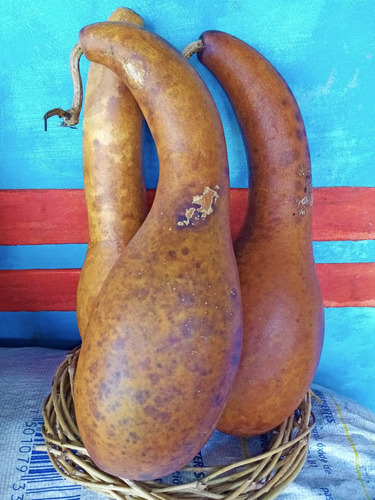 10 Semillas De Guaje Calabaza Peregrina Cuello De Gancho