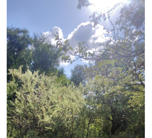 Se Vende Terreno De 1.25 Ha, Con Vista A Las Sierras (excelente Oportunidad) / Ubicación; Traslasierra, Cruz De Caña, Córdoba.