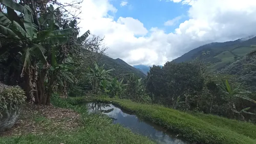 Venta Finca En La Montaña Cerca Al Lago Calima