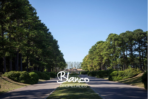 PINARES GOLF & COUNTRY CLUB| LOTES EN EXALTACIÓN DE LA CRUZ!
