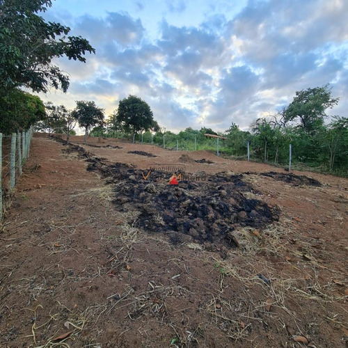 Imagem 3 de 5 de Chácara Para Venda Em Itaguara, Área Rural - 70599_2-1539528