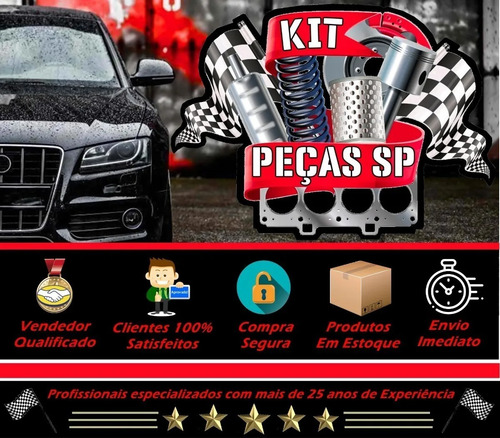 Camisa Pistao E Aneis Medida Std Besta Gs 3.0