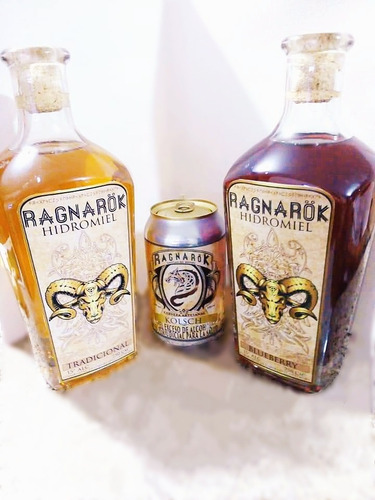 Hidromiel Artesanal Ragnarök Arándanos - mL a $91
