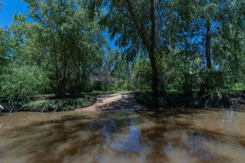Imagen 10 de 13 de Venta - Lote - Terreno - Isla Del Caraguata - Islas Del Delta - Tigre