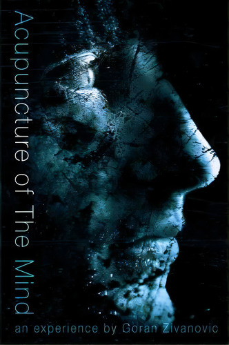Acupuncture Of The Mind, De Goran Zivanovic. Editorial Gothic Zen Studios, Tapa Blanda En Inglés