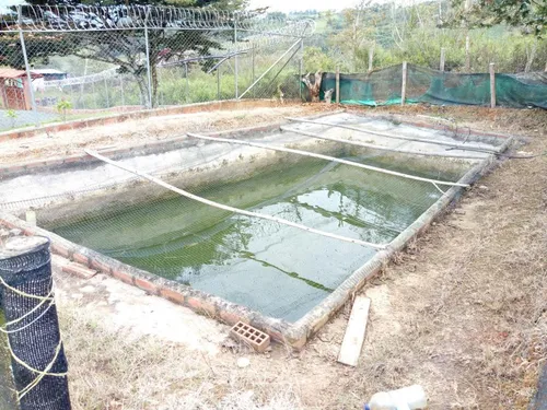 Venta Finca Restrepo Valle Del Cauca