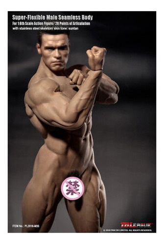 Jj Modelo De Cuerpo Musculoso Tbleague Phicen De Hombre 1/6