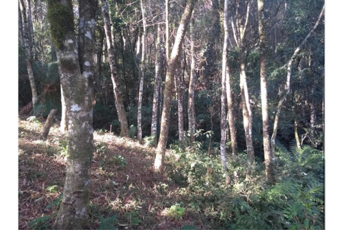 Imagem 5 de 5 de Terreno De 2016 M 2 De 36 De Frente Por 56 De Fundos,