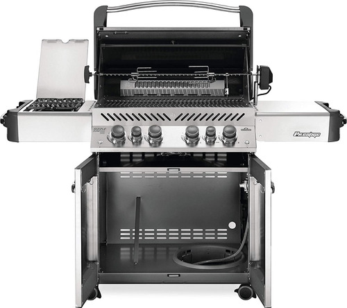Parrilla Gas Natural Premiun Portatil Color Plata Napoleon