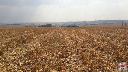Imagem 30 de 30 de Chácaras_sítios_fazendas Para Venda - 13650.3266