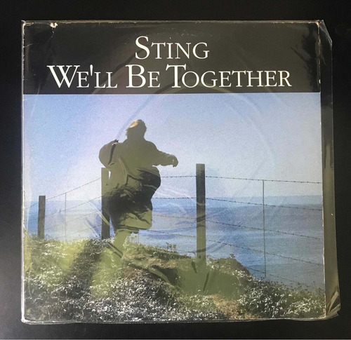 Vinilo Sting We'll Be Together Che Discos