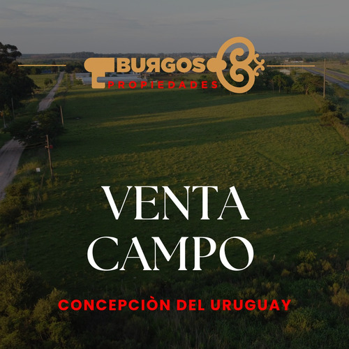 Excelente Fraccion De 5has Sobre Autovia 14, Entre Rios