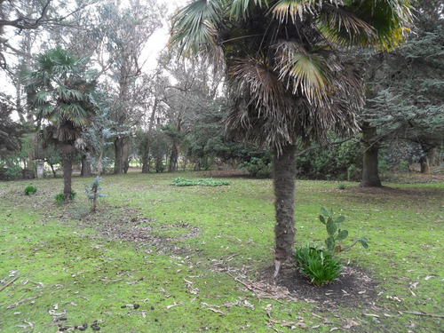 Imagen 4 de 30 de Latorre Prop Vende Campo De 4 Hectareas,cerca De La Ruta 11,del Mar Y Playas,varios Usos,hermosa Arboleda