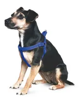Comprar Arneses  Pretales Para Perros Y Gatos Varios Colores Calidad