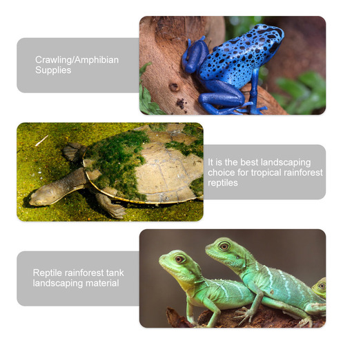 Nuevo Material De Plantas Artificiales Para Reptiles, 8