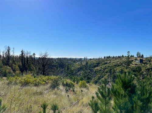 Sitio En Venta En Matanzas (incluye Tiny Cabin)