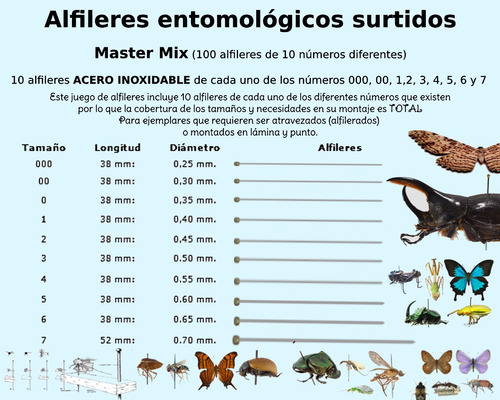 Alfileres Entomológicos Surtidos Inoxidable Master Mix