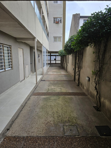Hermoso Depto Con Patio Propio