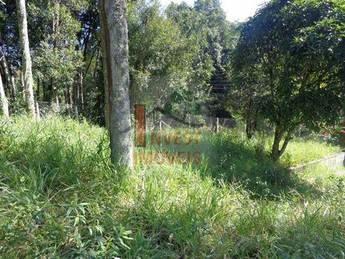 Imagem 4 de 10 de Chacara - Ref: 1423 - V-1423