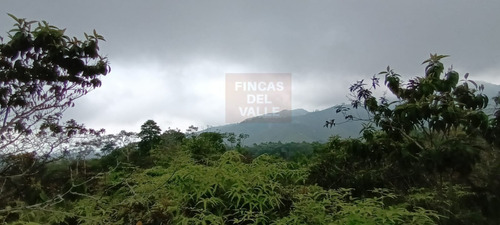 Pance, 7 Hectáreas. Hermoso Lote En Venta Con Vista A La Montaña, A Tan Solo 8 Minutos De La Vorágine, Rodeado De Bosque Para Disfrutar De La Naturaleza.