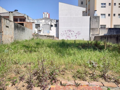 Imagem 2 de 6 de Terreno Para Alugar, 420 M² Por R$ 2.000,00/mês - Centro - Ponta Grossa/pr - Te0002